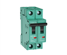 Load image into Gallery viewer, Feeo 2P 63amp 550Vdc Circuit Breaker
